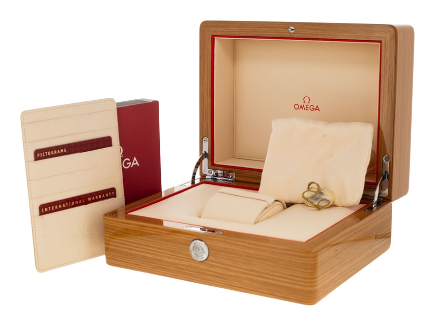 Omega Aqua Terra 150m Gents 231.10.39.21.03.002 Image 5